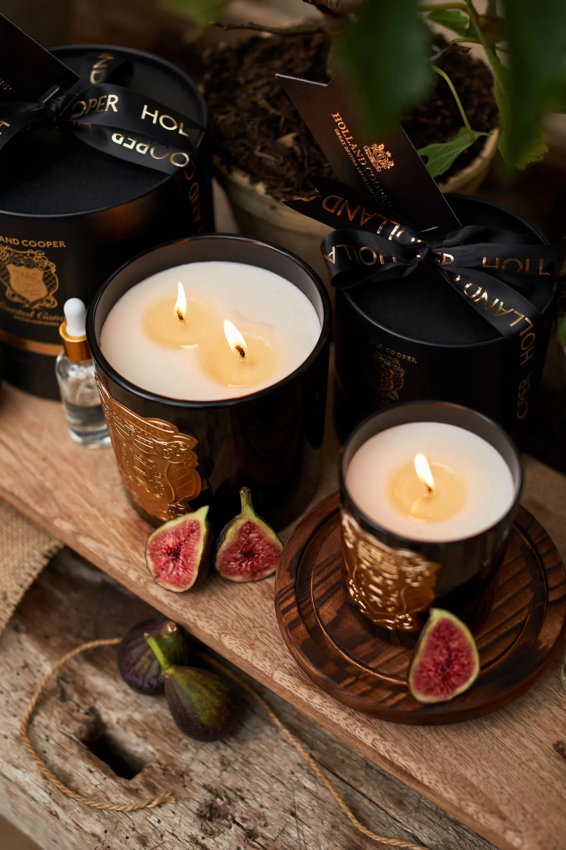 Holland Cooper The Perfect Gesture | Gifts For Her>Double Wick Candle Figue Noir