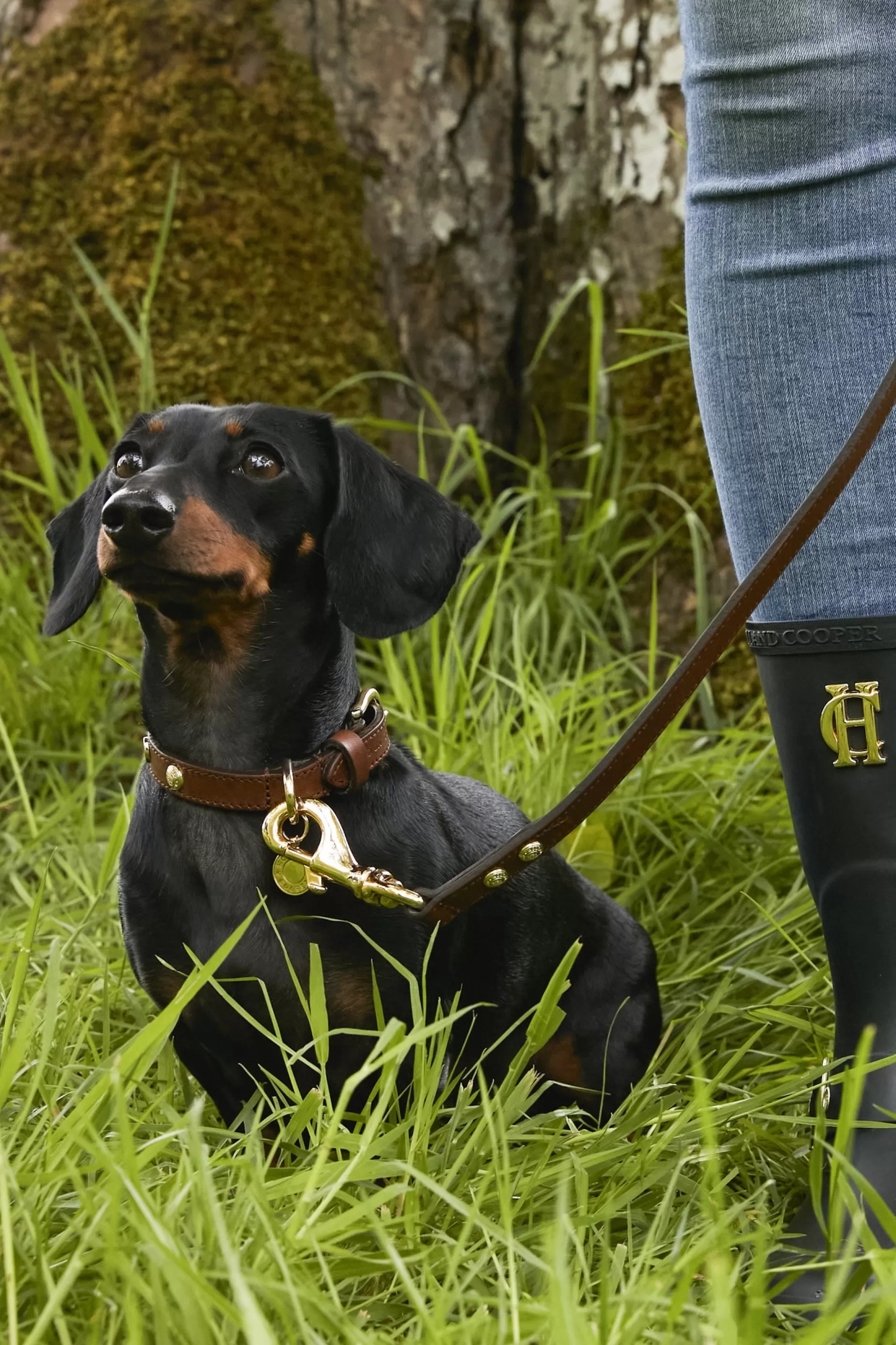 Holland Cooper Dog Leads | Dog Accessories>HC Slim Dog Lead Chestnut